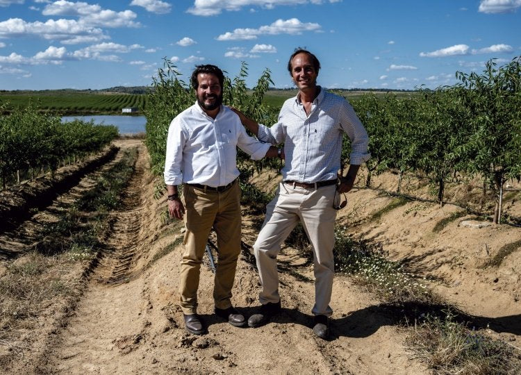 The founders in the almond groves of the Beira Interior