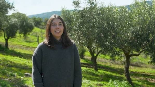 Quinta Mourisca, in the olive grove at Agrobom